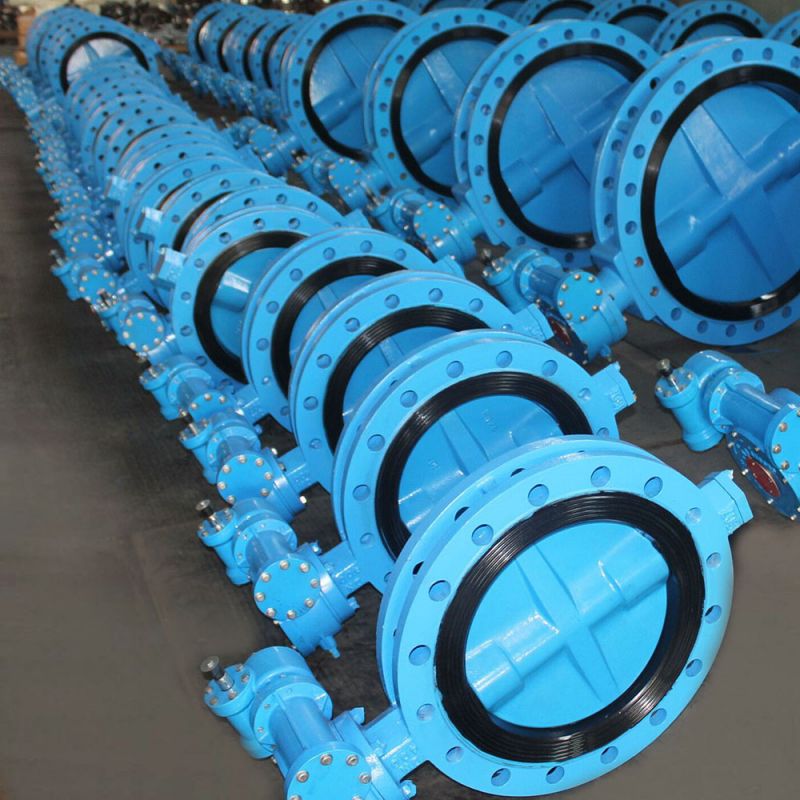 U Type Butterfly Valve (13)