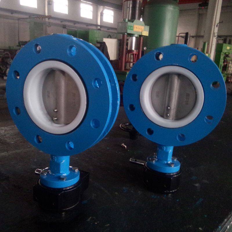 U Type Butterfly Valve (15)