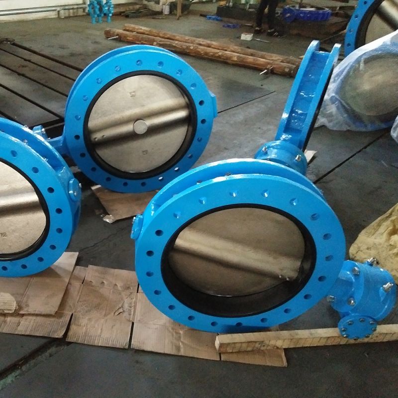 U Type Butterfly Valve (20)