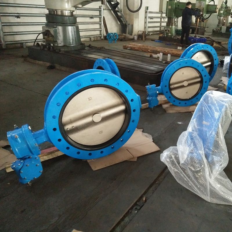 U Type Butterfly Valve (22)