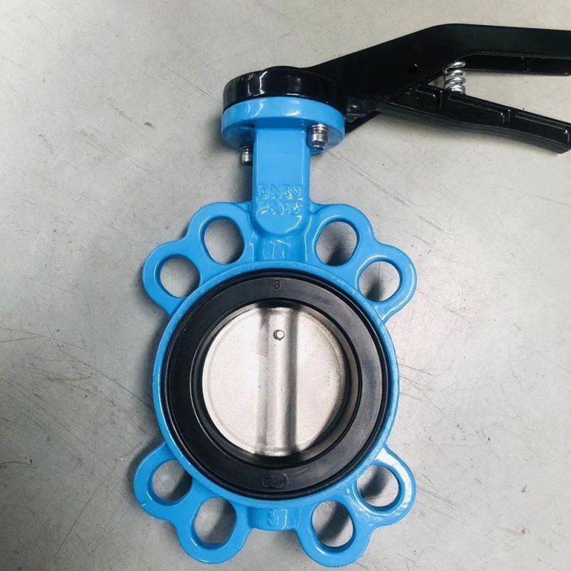 Wafer Type Butterfly Valve (11)