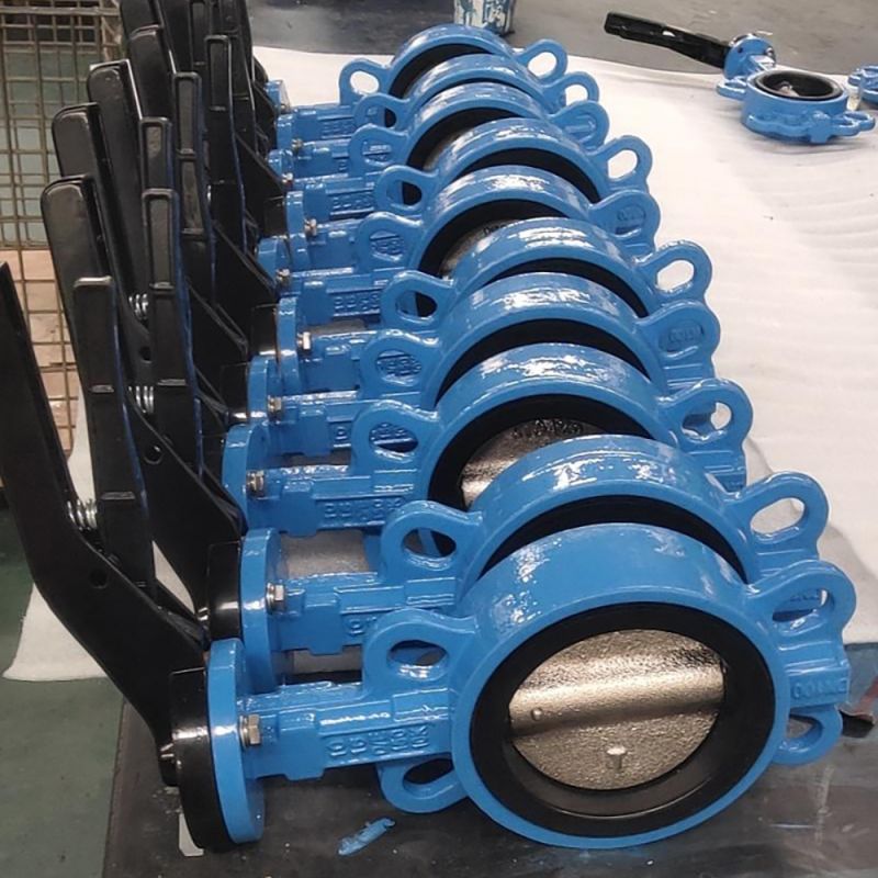 Wafer Type Butterfly Valve (13)