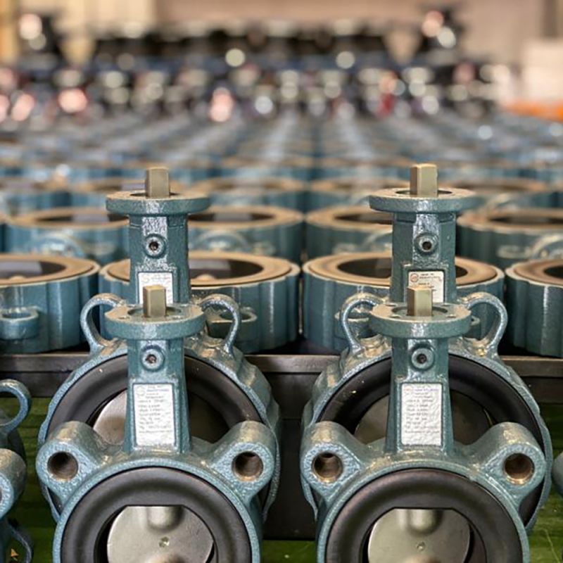 Wafer Type Butterfly Valve (18)