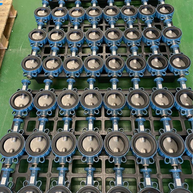 Wafer Type Butterfly Valve (20)