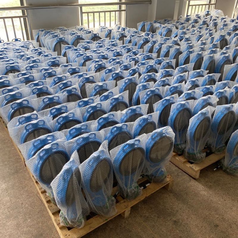 Wafer Type Butterfly Valve (4)