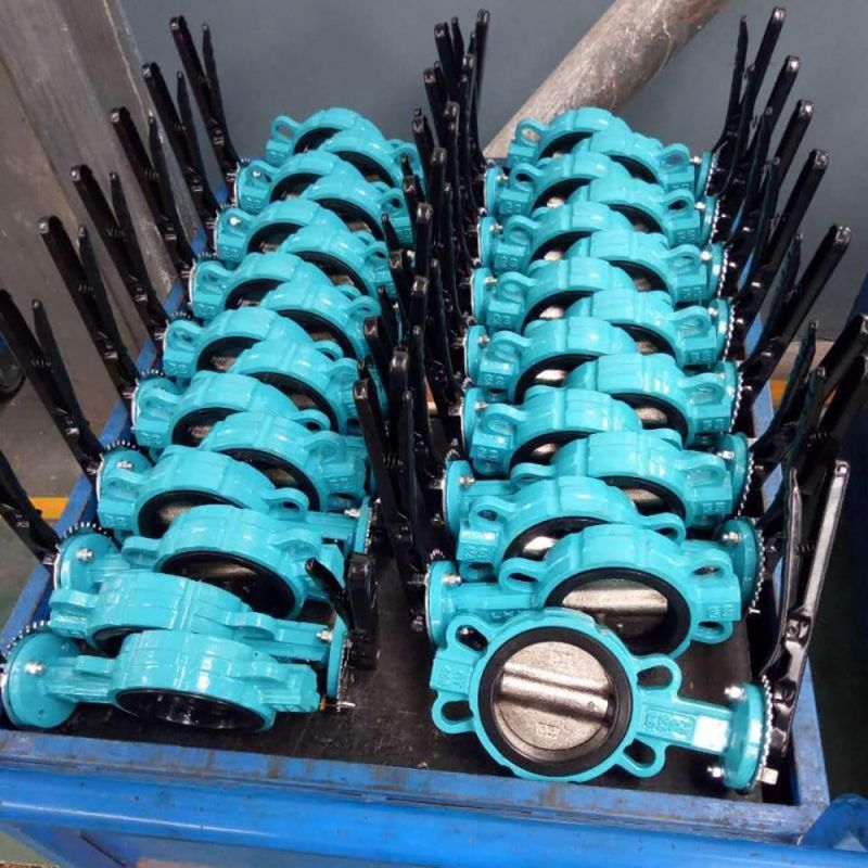 Wafer Type Butterfly Valve (5)