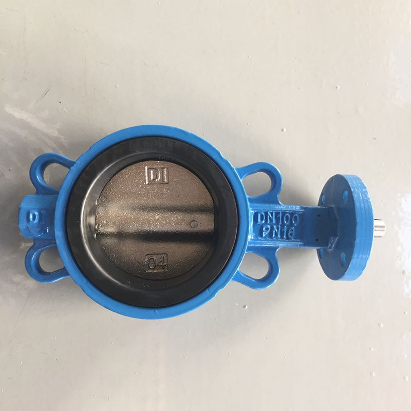 Wafer Type Butterfly Valve (6)