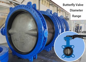 butterfly valve diameter range