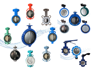 butterfly valve types little