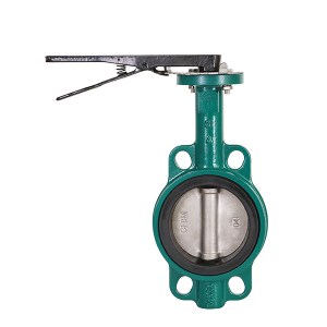 casting iron butterfly valve seo1