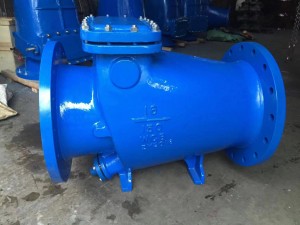 check valve-1