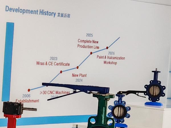 development history
