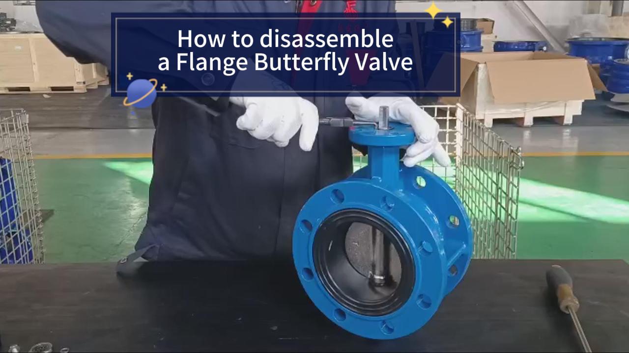 disassemble a Flange Butterfly Valve