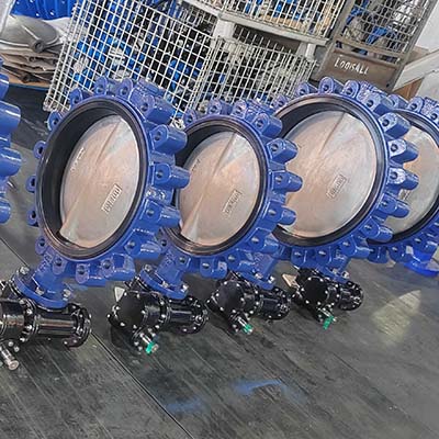 double stem lug butterfly valves