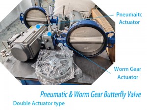 dual actuator pneumatic gear butterfly valve