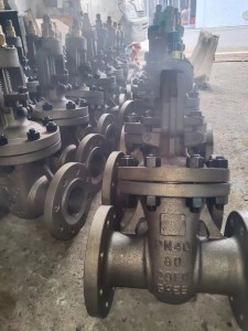 gate valve-6