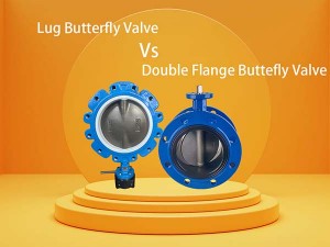 lug butterfly valve vs flange butterfly valve