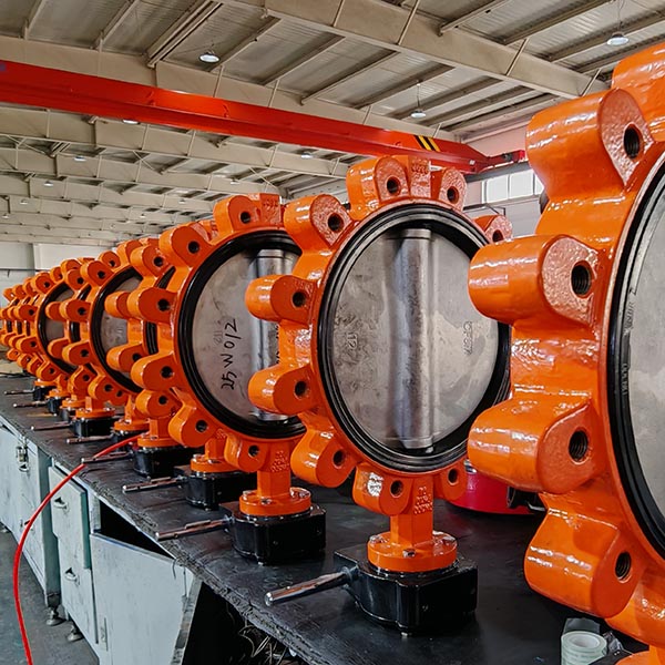 soft seat fully lug butterfly valveS