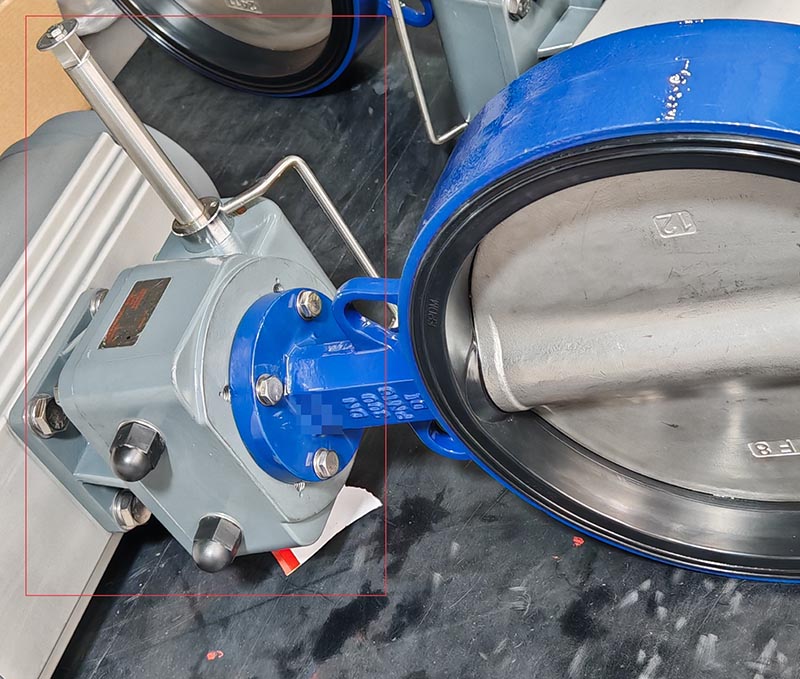 worm gear butterfly valve