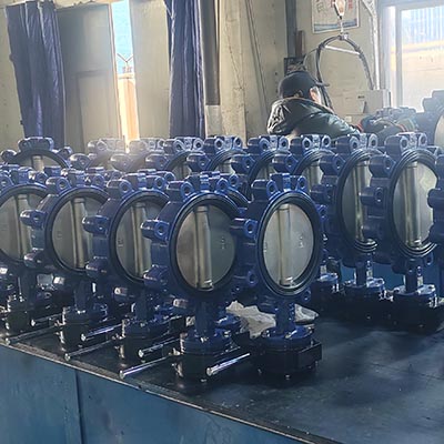 worm gear lug butterfly valve